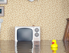 What to do in case of flood damage?